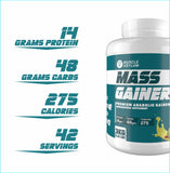 Muscle Asylum- Muscle Mass Anabolic Gainer- 14g Protein, 48g carbs, 275g Calories High Calorie Mass Gainer Weight Gainer Powder