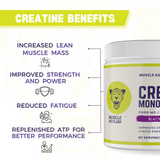 Muscle Asylum Micronized Creatine Monohydrate Powder
